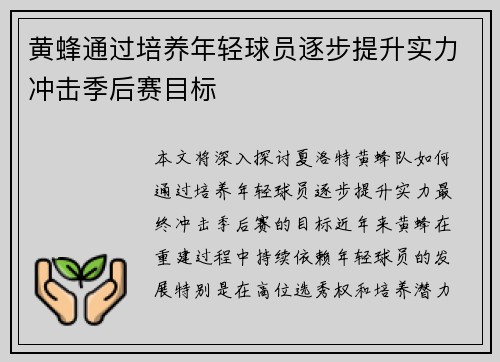 黄蜂通过培养年轻球员逐步提升实力冲击季后赛目标