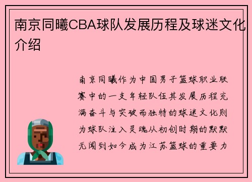 南京同曦CBA球队发展历程及球迷文化介绍