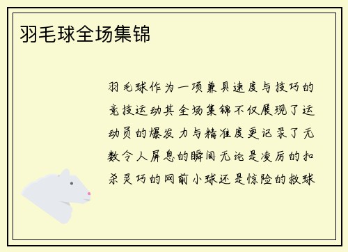 羽毛球全场集锦