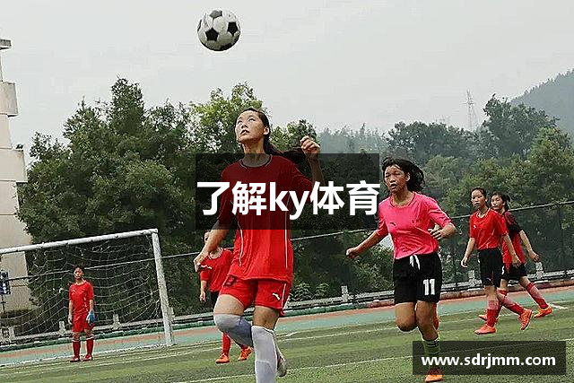 了解ky体育